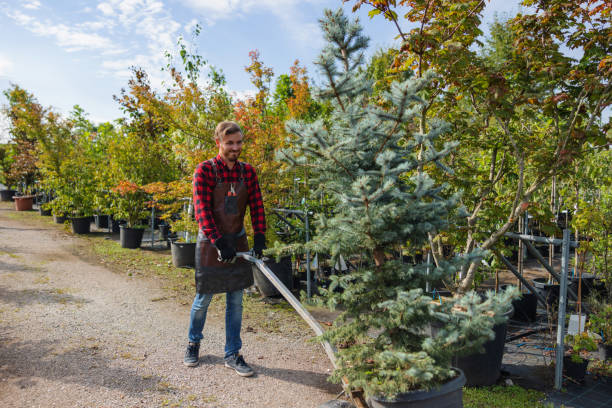 Best Hazardous Tree Removal  in Oakdale, PA